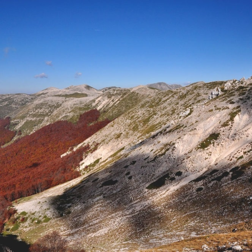 Monte La Monna e Foliage