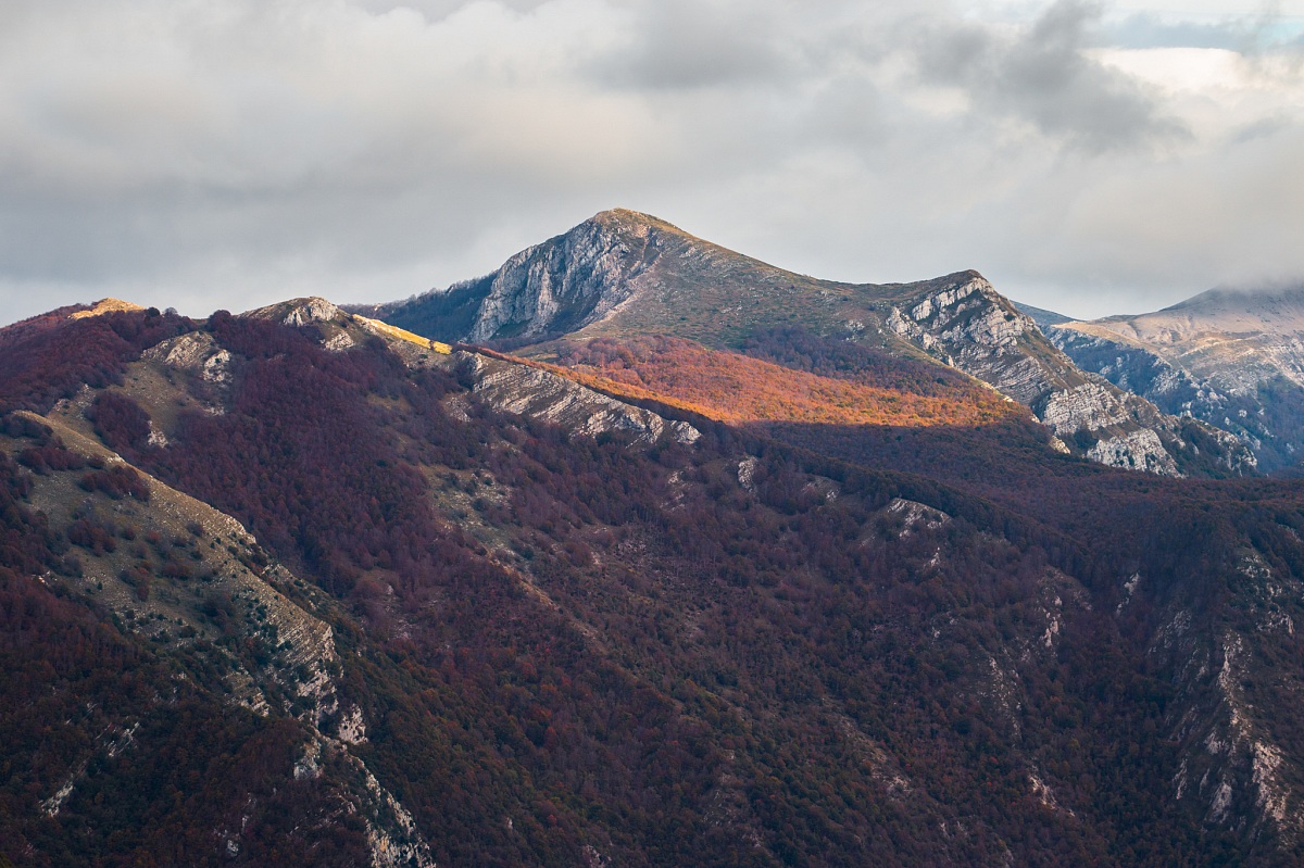 Immersione nel Foliage fino a Monte Tarinello